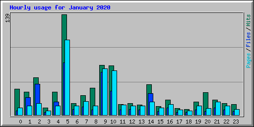Hourly usage for January 2020