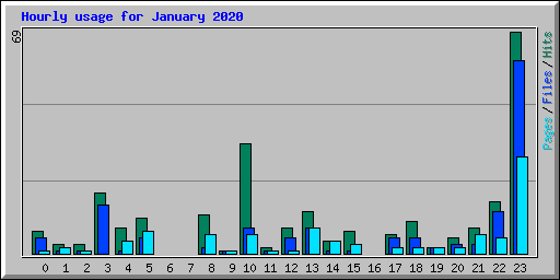 Hourly usage for January 2020
