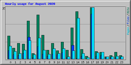 Hourly usage for August 2020