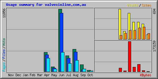 Usage summary for valvesinline.com.au